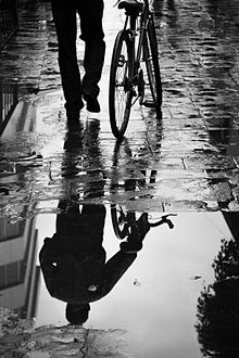 Bicycle reflections.jpg