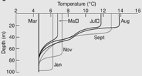 混合层不同月份中深度（纵轴）与温度（横轴）的变化。