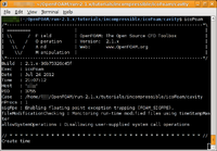 Screenshot OpenFOAM-2.1.x gnome-terminal.png